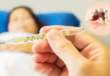 Texas Sees First Local Dengue Fever Case of 2024 Amid Record Infections Dengue Fever