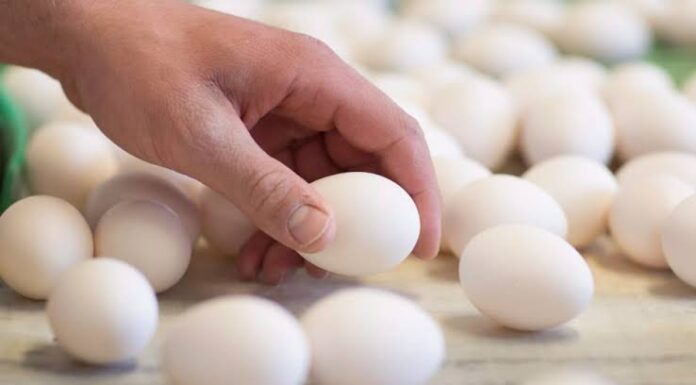 Costco Recalls Eggs Due to Potential Salmonella Risk Costco Recalls Eggs Due to Potential Salmonella Risk