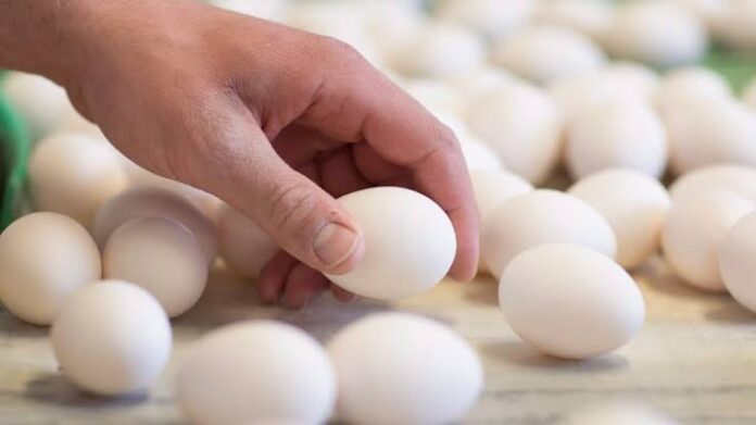 Costco Recalls Eggs Due to Potential Salmonella Risk